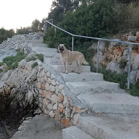 Pinky And Superior Trogir Villa