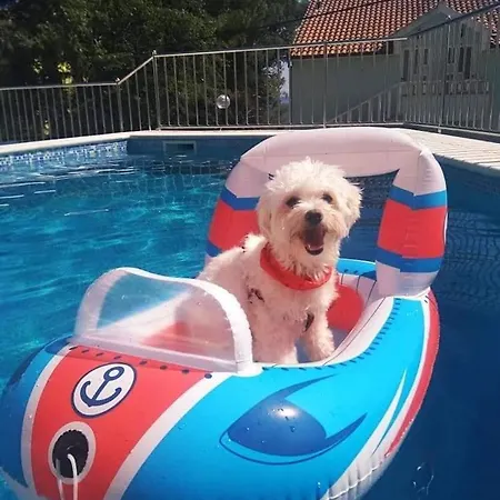 Beachfront Pinky Gasthof Seget Vranjica