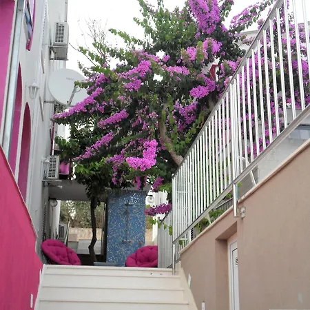 Beachfront Pinky Gasthof 4*