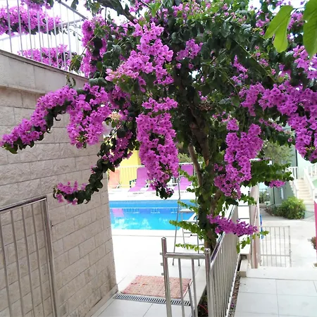 Gasthof Beachfront Pinky 4*