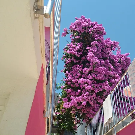 Beachfront Pinky 4* Seget Vranjica