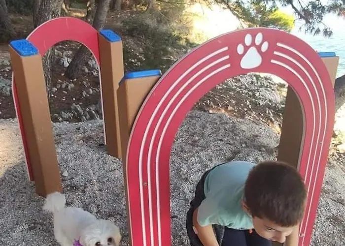 Affittacamere Beachfront Pinky 4*